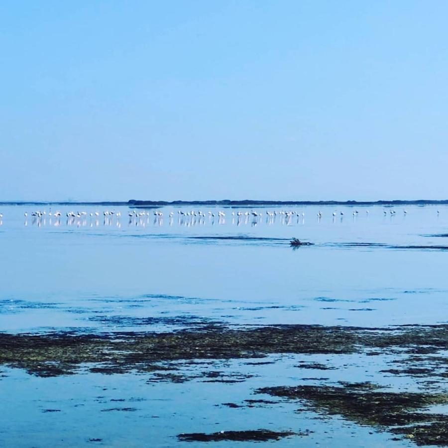 Appartement Au Coeur Des Rizieres Salin-de-Giraud Εξωτερικό φωτογραφία
