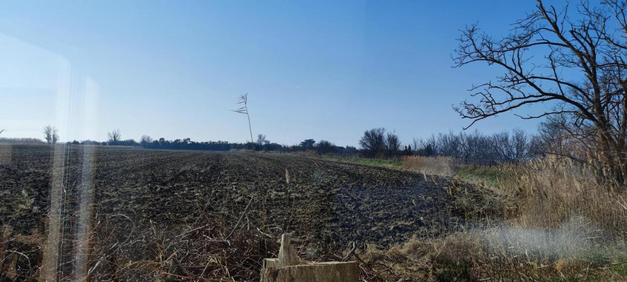 Appartement Au Coeur Des Rizieres Salin-de-Giraud Εξωτερικό φωτογραφία